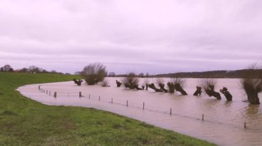High water River Rhine Netherlands
