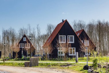 Hollanda 'da çevre dostu modern evler