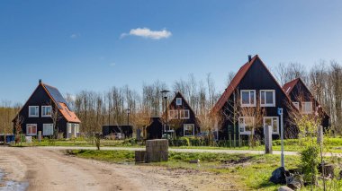 Hollanda 'da çevre dostu modern evler