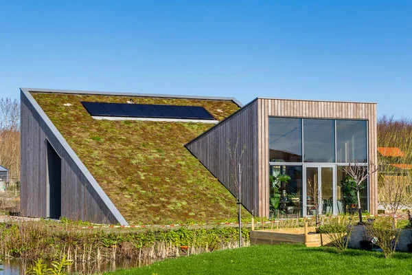 Ekologické domy v Almere Nizozemsko Royalty Free Stock Obrázky