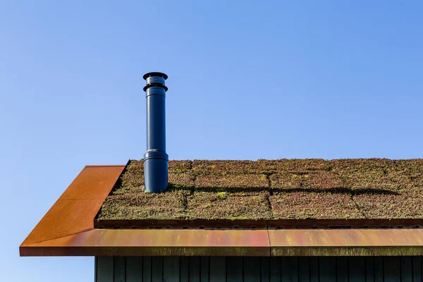 Modern green roof