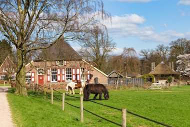 Tipik Hollandalı çiftlik evi