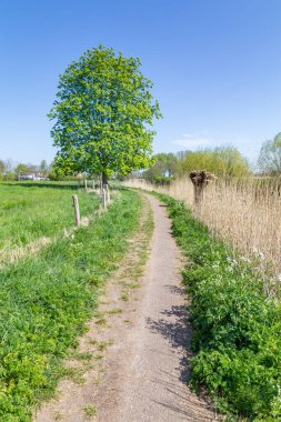 Hollanda portresi Lezbiyen manzarası