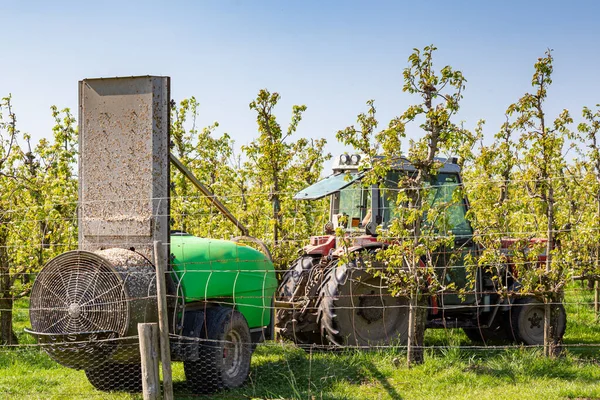 Pflanzenschutz-Obstbäume — Stockfoto