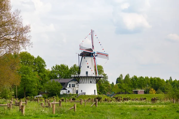 オランダの白い風車と家 — ストック写真