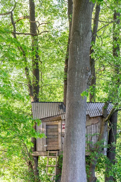 Casa sull'albero e alberi di legno — Foto Stock