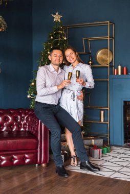 Noel zamanı dekore edilmiş bir dairede Noel ağacının arka planında duran bir kadın ve bir erkek şampanya kadehleri kaldırıyorlar. Tatil. Karı koca çok güzel giyinmişler.