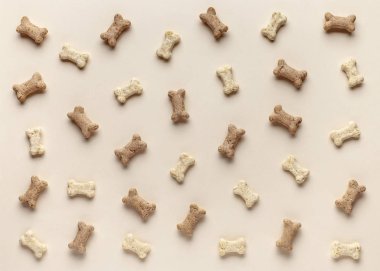 Köpek maması arka planında köpek yemi var.