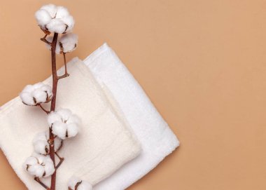 Otton havlular ve bej arka planda bir tutam pamuk. Üst görünüm, kopyala