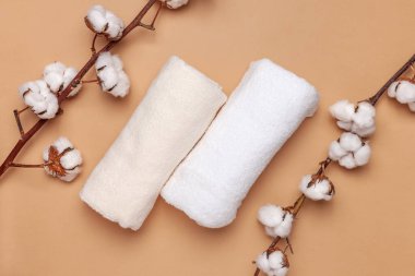 Otto 'nun bej bir arka planı var. Üst görünüm, alanı kopyala