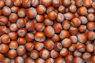 Fındık arkaplanı. Doğal fıstıklardan yapılmış. Üst görünüm