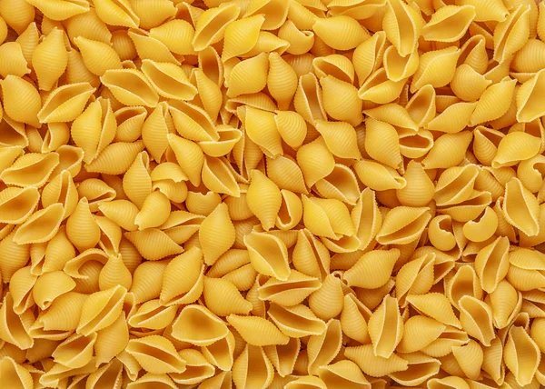 Conchiglie 'den yapılmış makarna arkaplanı