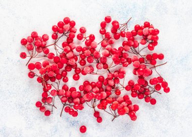 Kırmızı donmuş dut yakın plan. Viburnum arkaplanı.