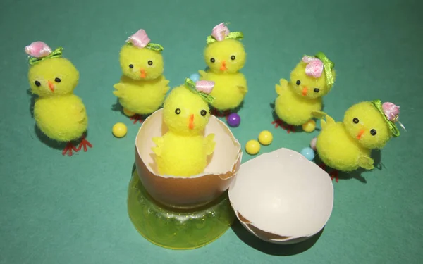 Yumurtadan çıkan sarı tavuk, yeşil arka planda oyuncaklar.
