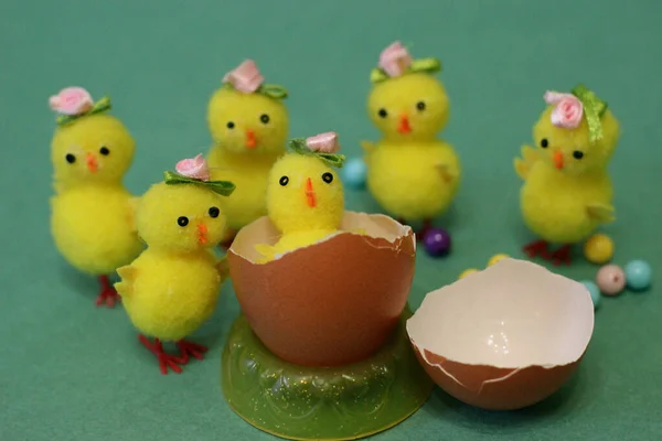 Yumurtadan çıkan sarı tavuk, yeşil arka planda oyuncaklar.