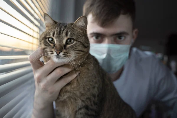 Tıbbi maskeli bir erkek veteriner çizgili kahverengi bir kedi tutuyor..