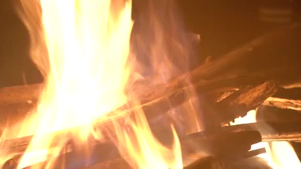 Bonfire in nature. pieces of wood are burning in the fireplace. flame close up. — Stock Video