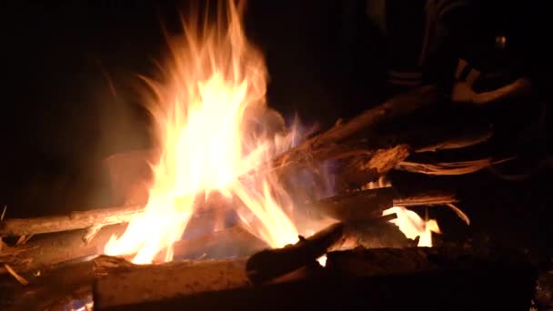 Doğada şenlik ateşi. Şöminede odun parçaları yanıyor. Yaklaş!. — Stok video