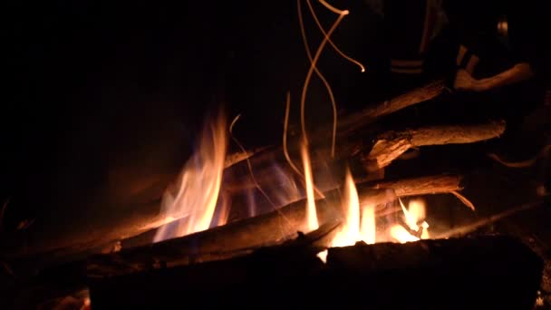Vuur in de natuur. Stukken hout branden in de open haard. Vlam van dichtbij. — Stockvideo
