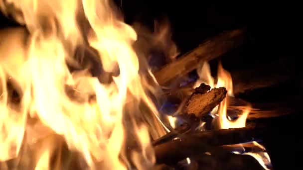 feu de joie dans la nature. des morceaux de bois brûlent dans la cheminée. flamme close up .