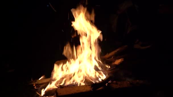 Kampvuur in de natuur. vuur 's nachts buiten. — Stockvideo