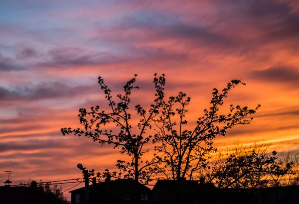 Schöner Heller Sonnenuntergang Der Steppe — Stockfoto