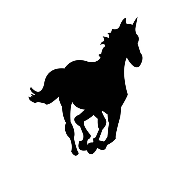 Black Horse White Background — Stock Photo, Image