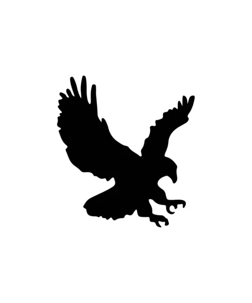 Flying Eagle Silhouette Fundo Branco — Fotografia de Stock