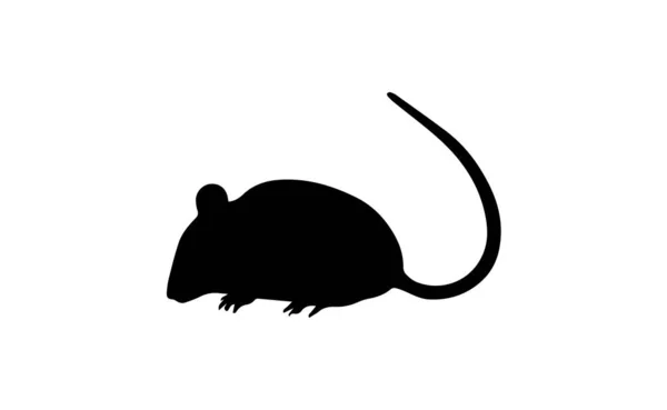 Silhueta Mouse Fundo Branco — Fotografia de Stock