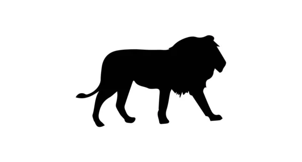 Lion Silhouette Auf Weißem Hintergrund — Stockfoto