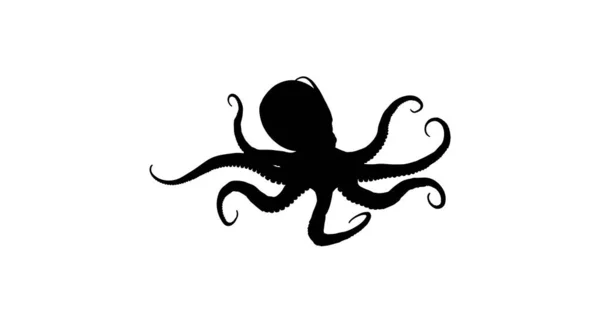 Octopus Silhouet Witte Achtergrond — Stockfoto