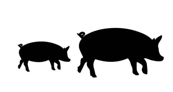 Schwein Silhouette Auf Weißem Hintergrund — Stockfoto