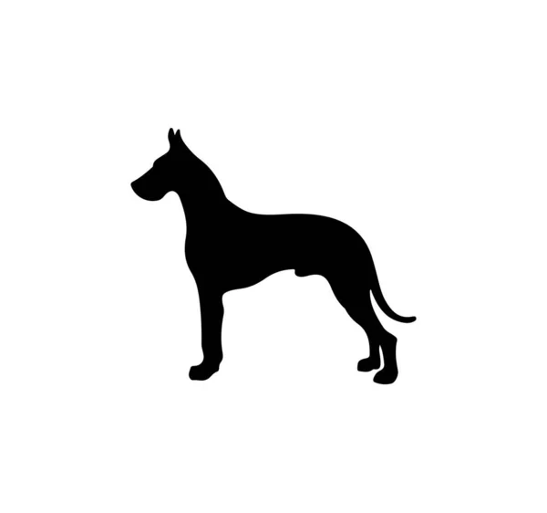 Wolf Dog Silhouette White Background — Stock Photo, Image