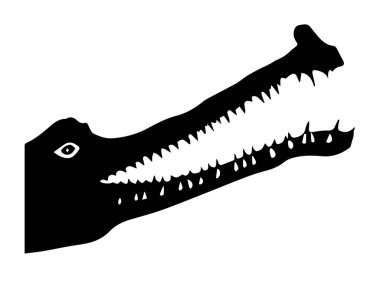 Beyaz arkaplanda timsah silueti