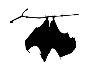 Beyaz arkaplanda yarasa silueti
