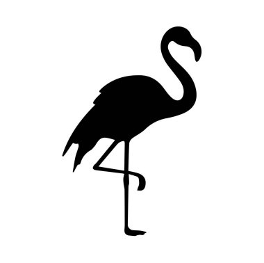 Beyaz arkaplanda flamingo silueti