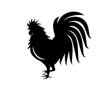 Beyaz arkaplanda horoz silueti