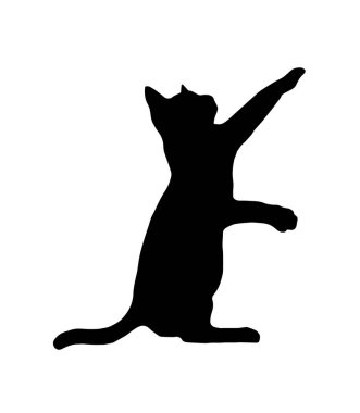 beyaz arkaplanda kedi silueti.