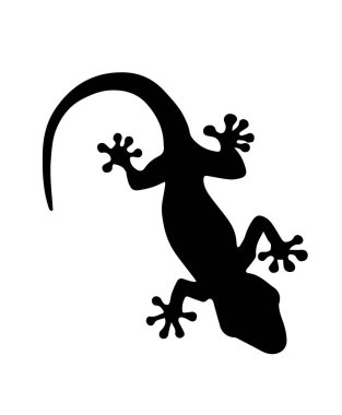 Lizard silhouette on white background. clipart