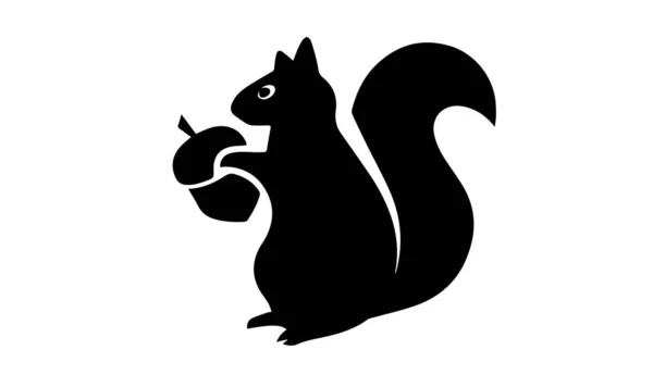Squirrel Silhouette White Background — Stock Photo, Image