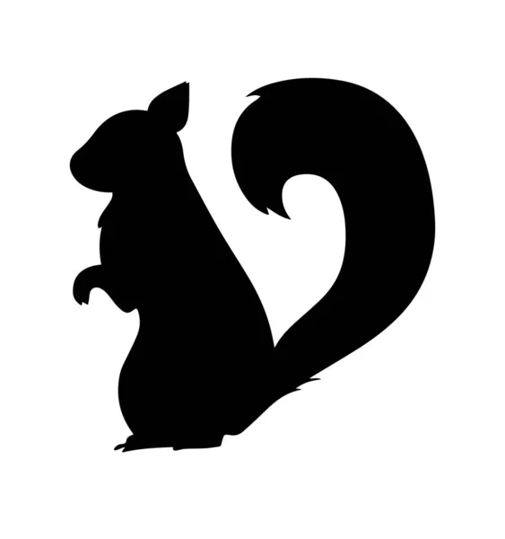 Eichhörnchen Silhouette Auf Weißem Hintergrund — Stockfoto