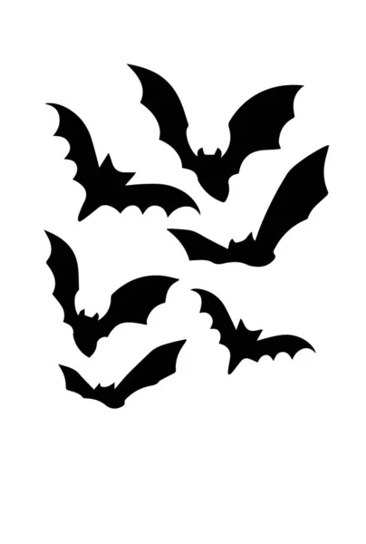 Silhouette Chauve Souris Sur Fond Blanc — Photo