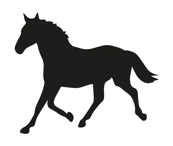 Pferdesilhouette Auf Weißem Hintergrund — Stockfoto