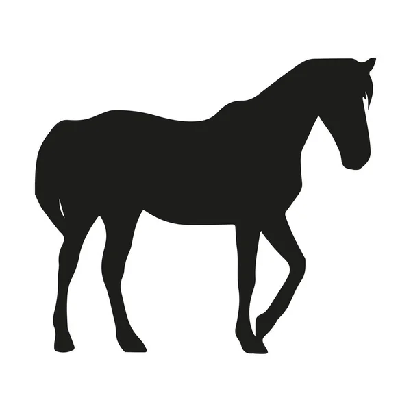 Pferdesilhouette Auf Weißem Hintergrund — Stockfoto