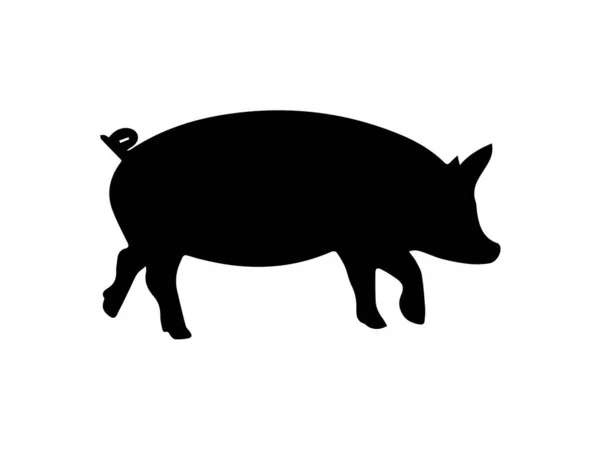 Silhouette Porc Sur Fond Blanc — Photo