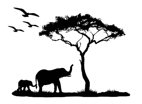 白色背景下的有树的大象和天空中的鸟儿的轮廓 — 图库照片