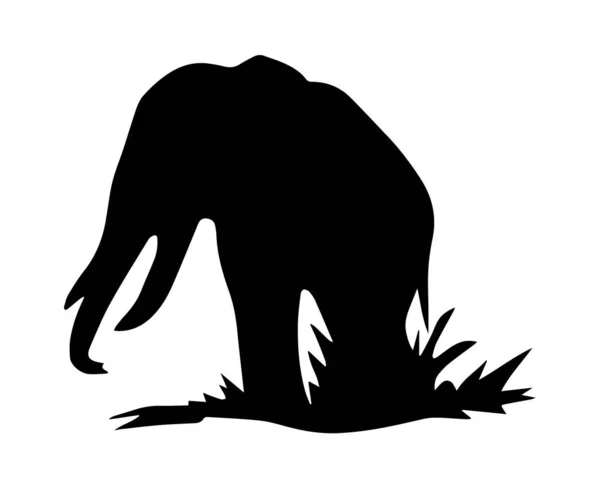 Silhouette Elephant White Background — Stock Photo, Image