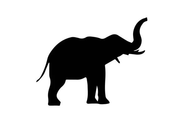 Silhouette Elephant White Background — Stock Photo, Image