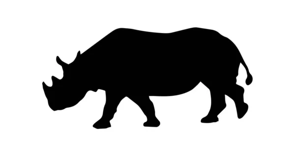 Silueta Rinoceronte Sobre Fondo Blanco —  Fotos de Stock