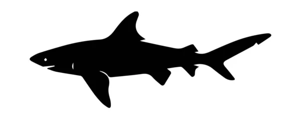 Silueta Tiburón Sobre Fondo Blanco — Foto de Stock